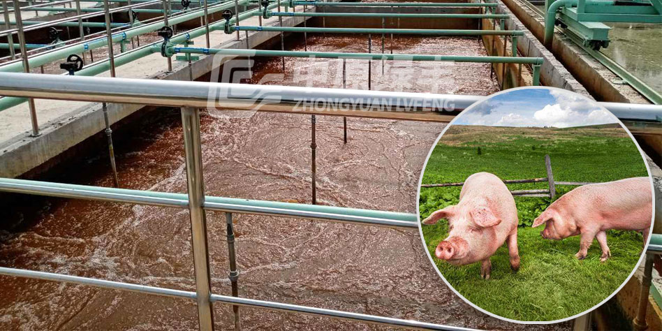 屠宰廢水應該怎么處理?