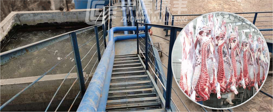 屠宰污水為什么要進行處理?