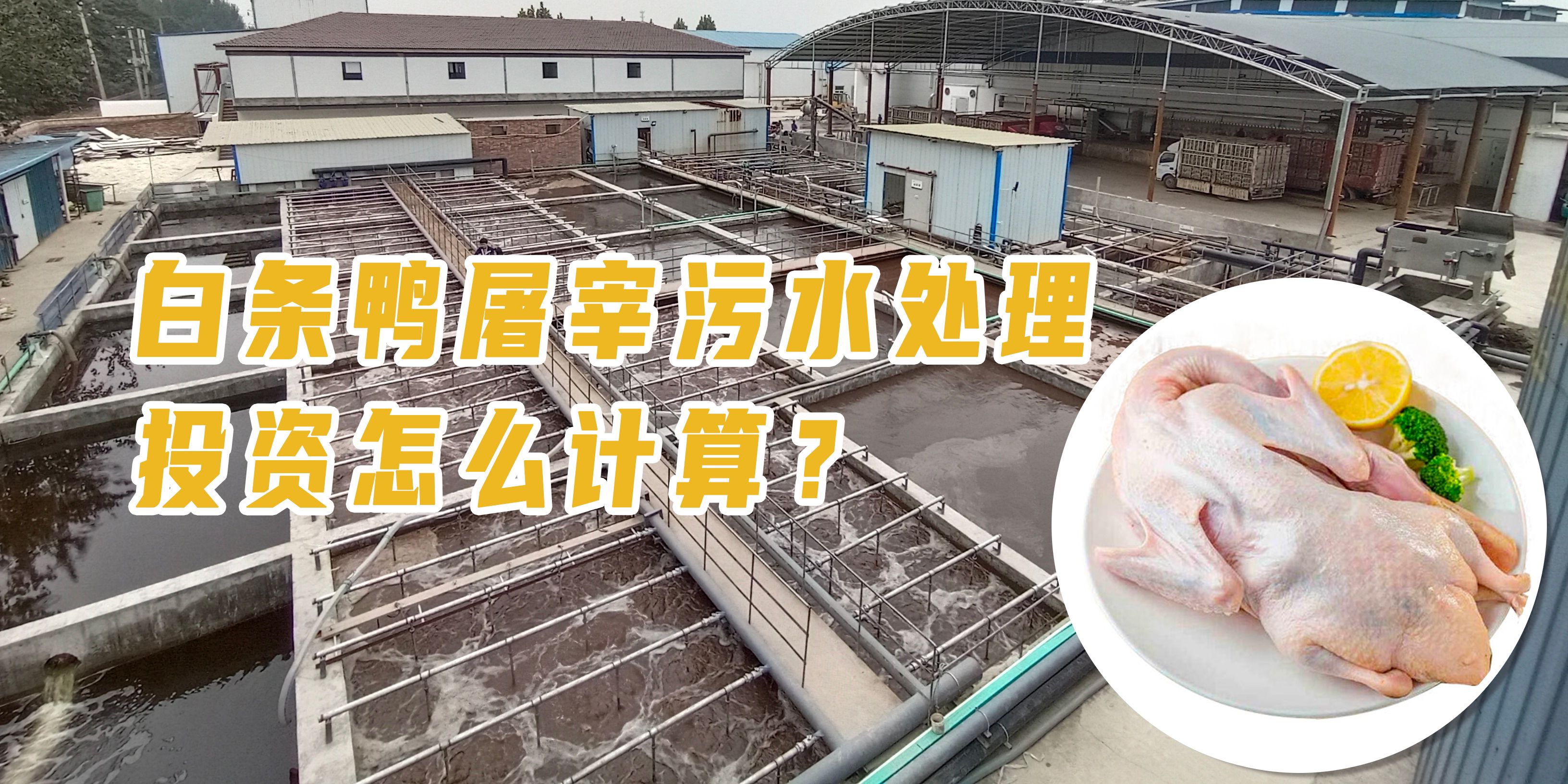 白條鴨屠宰污水處理投資怎么計算？