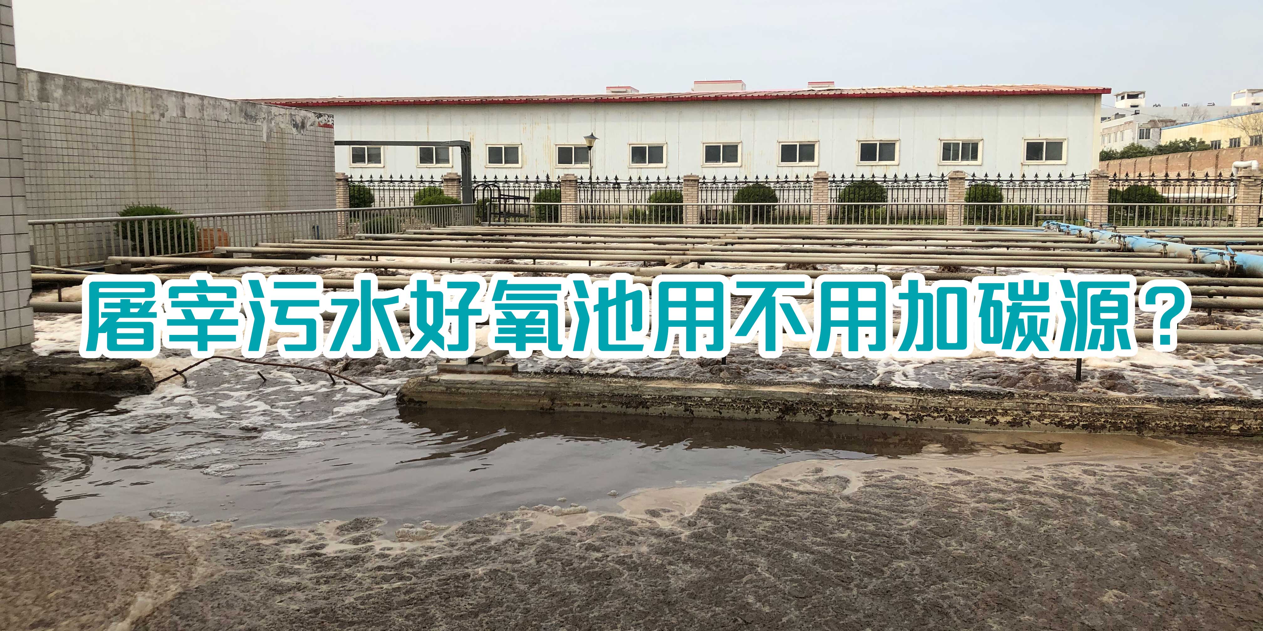 屠宰污水好氧池用不用加碳源?