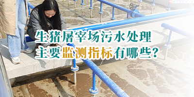 生豬屠宰場(chǎng)污水處理主要監(jiān)測(cè)指標(biāo)有哪些?