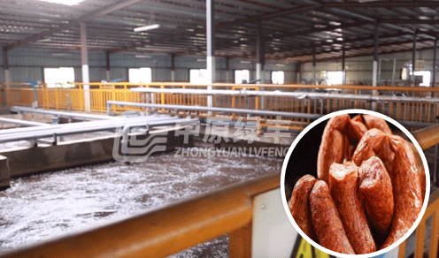 紅腸工廠廢水水質及處理方法