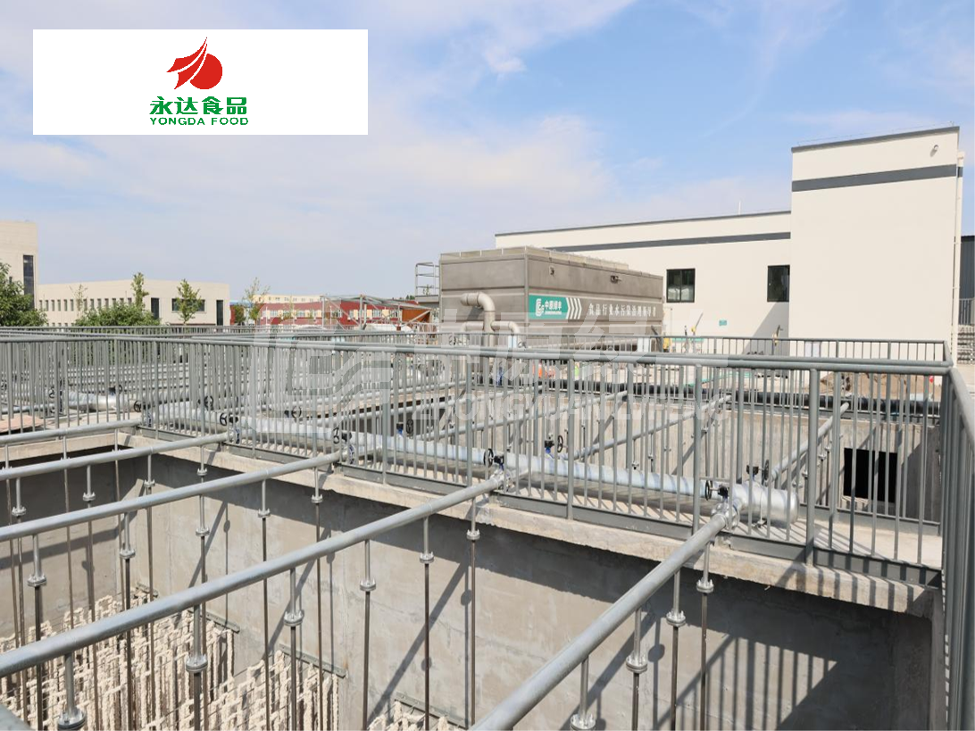 永達(dá)集團(tuán)·淇縣鴻磊項(xiàng)目2100m3/d調(diào)理品加工廢水處理工程